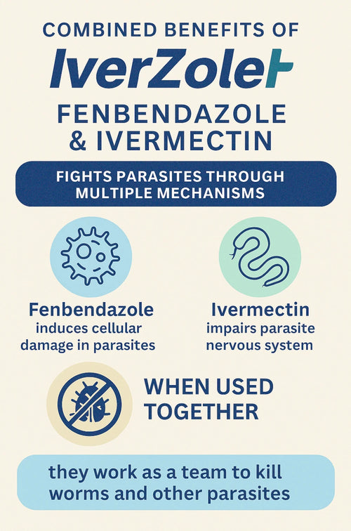 IverZolet Combo Pack – Iver & Fenben – 30-Day Research Supply